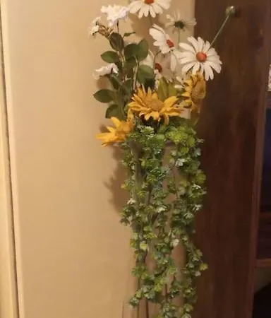 דירה Daisy In Centro A קומו