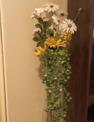 Διαμέρισμα Daisy In Centro A Όπως